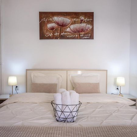 Central Amelie Apartment Sighişoara Buitenkant foto